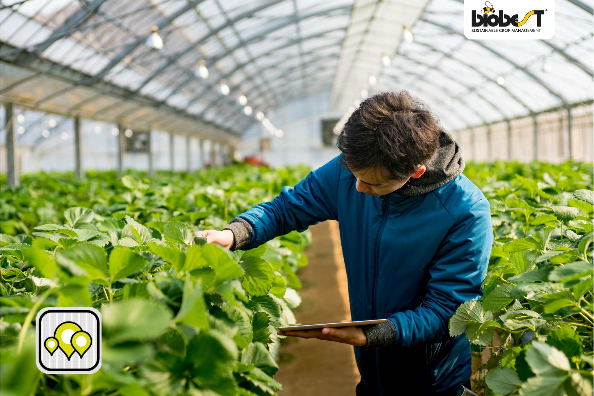 Biobest acquires Ecoation technology in commitment to support ...